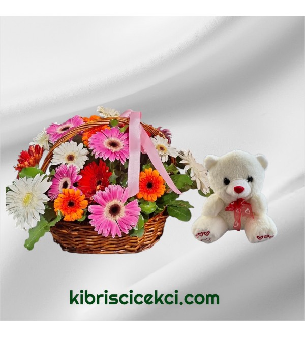Sepette Gerbera Ayıcık